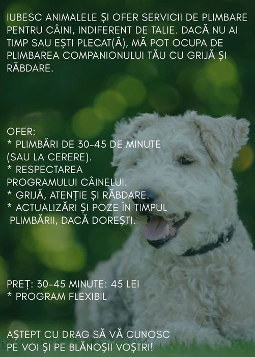 Plimb câini - seriozitate