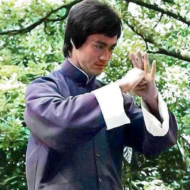 Джит Кун До, Jeet Kune Do