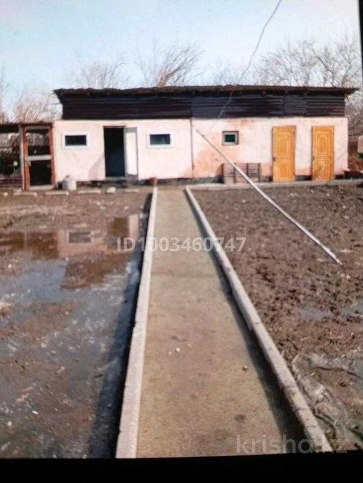 Дача Энтузиастов Елена