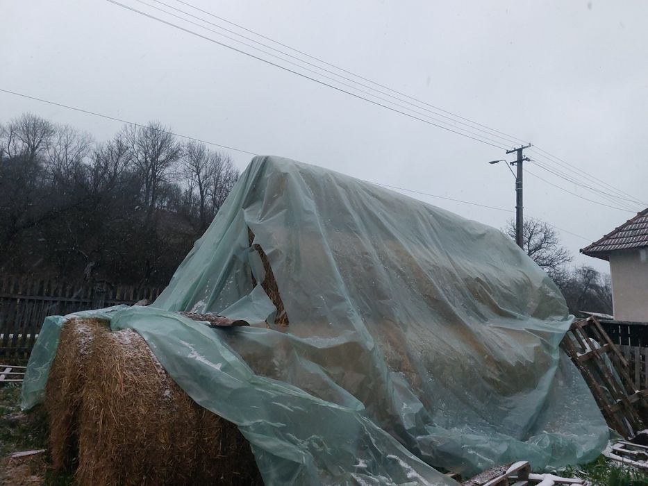 Vând baloti de paie