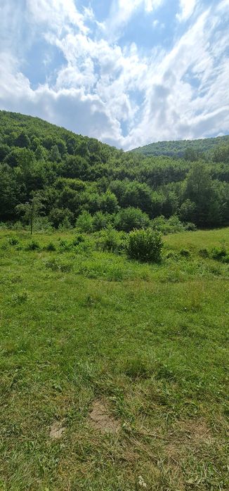 Teren pensiune/cabana  intravilan 4000 mp Bulz