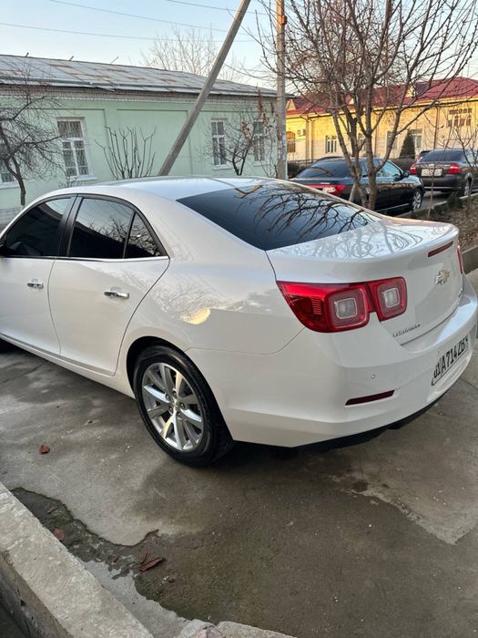 Malibu 1 oq rangi