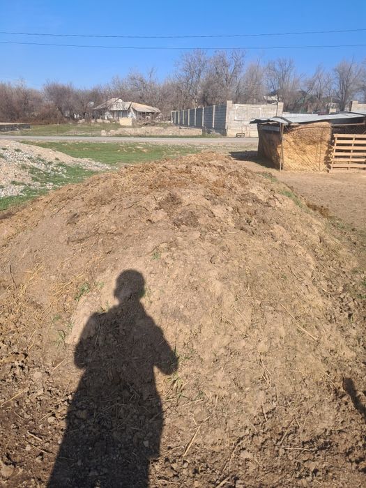 Малдың тесігі бар