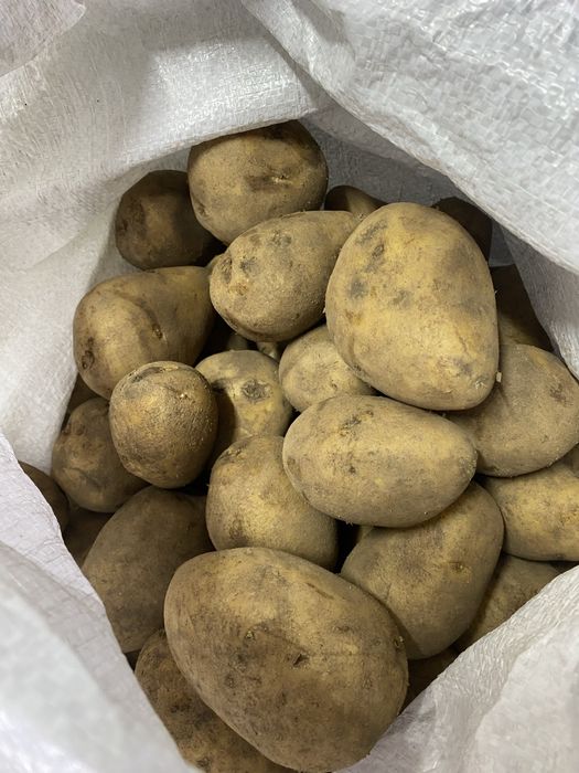 Картофель с доставкой (Астана)