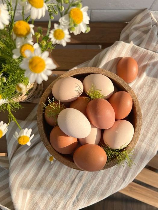 Домашние яйца и Петухи