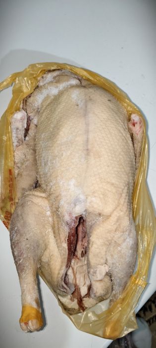 Продается тушки домашних гусей