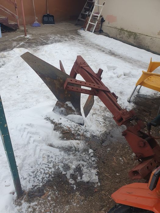 De vânzare pasquali adus Italia