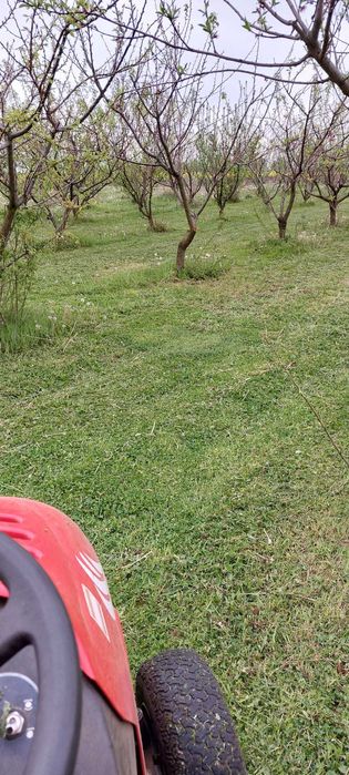 Vand 3 locuri de casa a cate 1500 mpatrati fiecare adica 15 arii