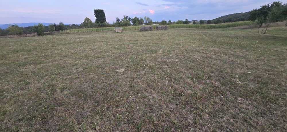 Teren de vânzare – Meziad, jud. Bihor – intravilan + extravilan | Zonă