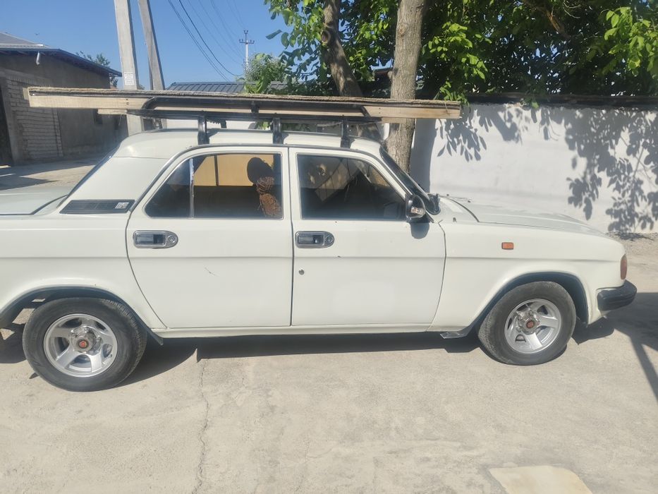 VOLGA 3129  haloti alo