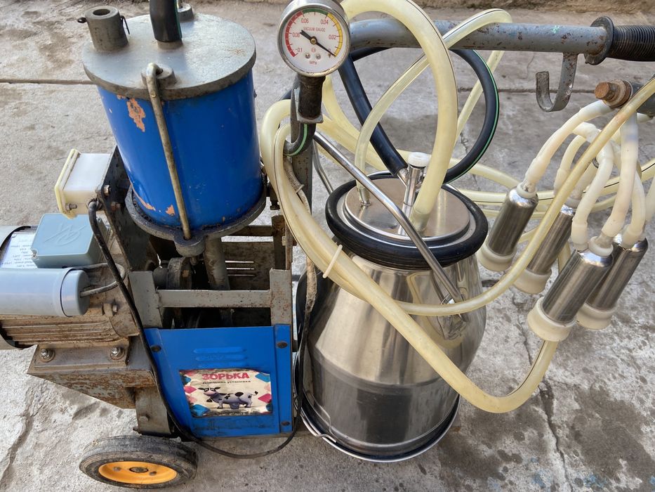 доильный аппарат