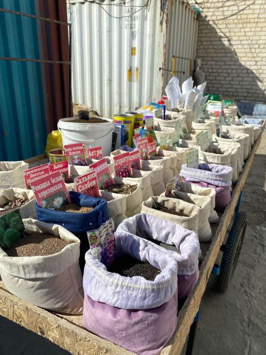 Семена Разного Вида Все Сорты имеются