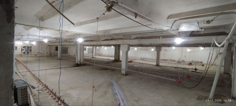 Продаётся фермерское хозяйство/ Ferma sotiladi