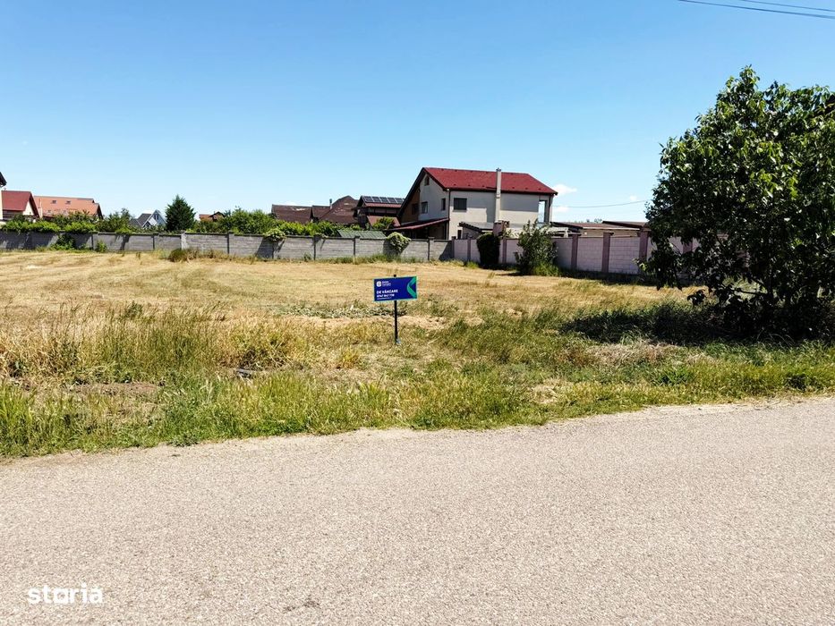 Teren intravilan 900 mp - Vladimirescu Tineretului