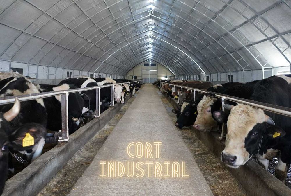 CORT HALA Industrial IZOLAT LICHIDARE STOC corturi neizolate