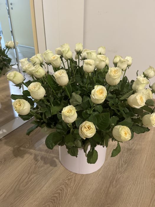 Роза 51 шт вчера купили