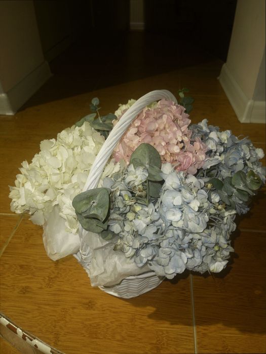 Срочно продаю цветы дешево