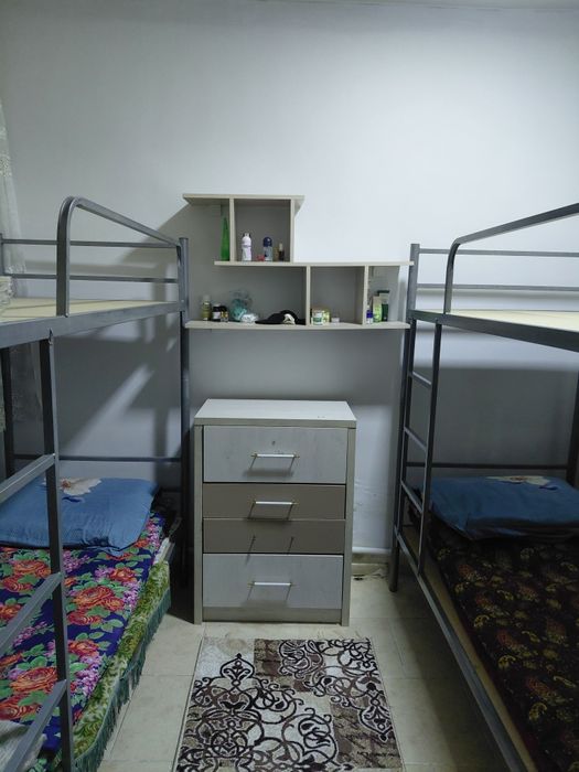 Арендага студентларга жой бор