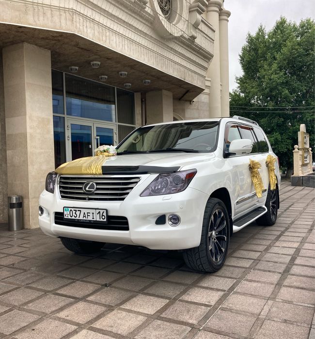 CarRental Премиум-прокат авто с водителем