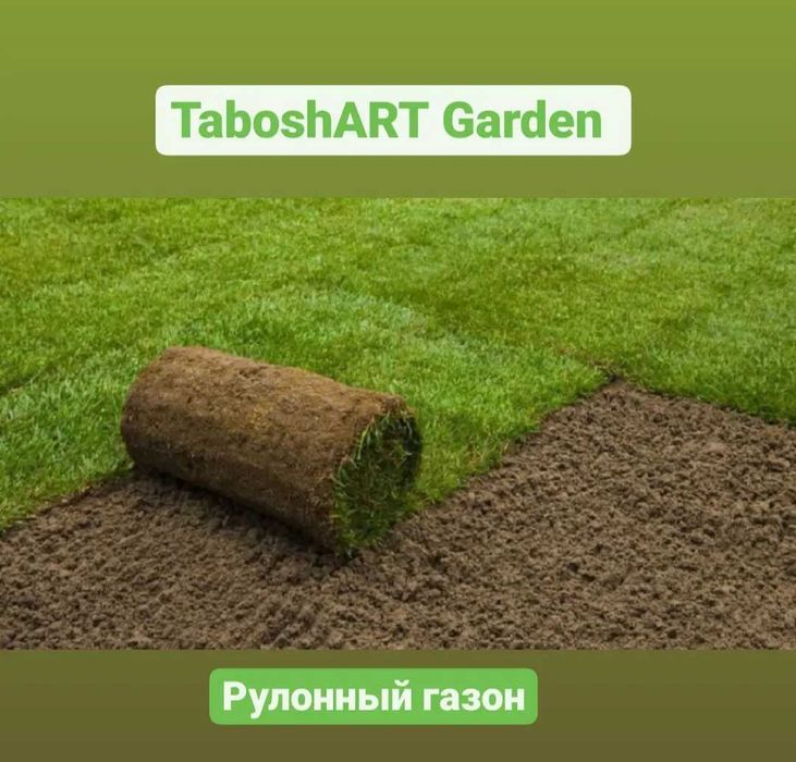 Газон. Комплексный уход. Устройство газона.