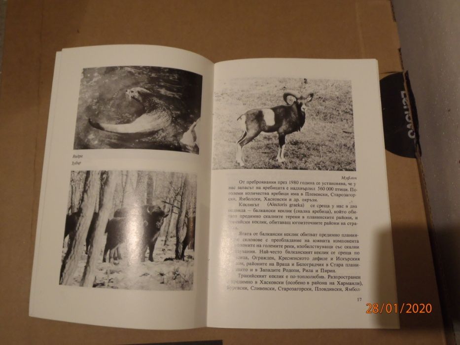 АРХИВНИ пощенски картички и брошури от 60,70 и 80-те години.