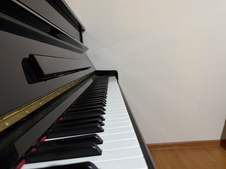 Pianina Essex Eup - 116
