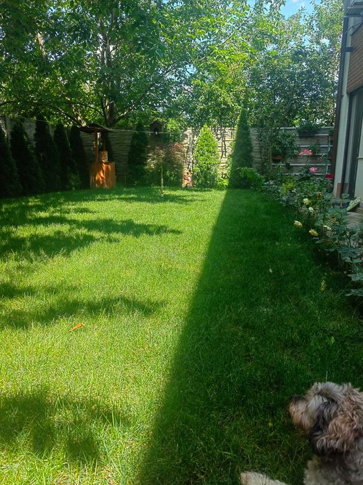 Bragadiru Apartament 62 mp cu gradina 128mp