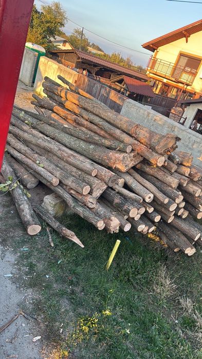 Lemn foc fag, stejar , carpen , salcâm