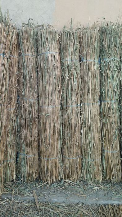 Lombozga Qamich Somon Tegirmon Somon gul suvoq