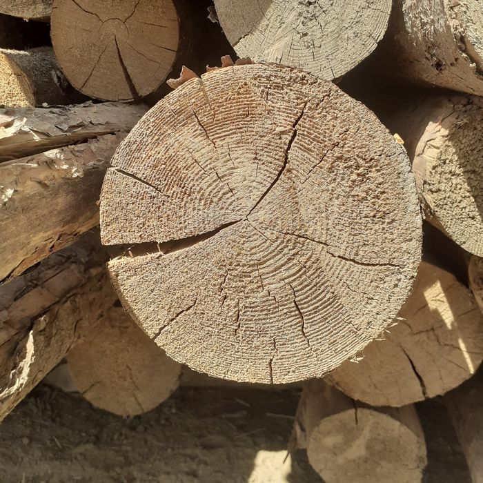 Qizil bolor sotiladi  holati alo yangi  ishlatilmagan oladigan lar tel