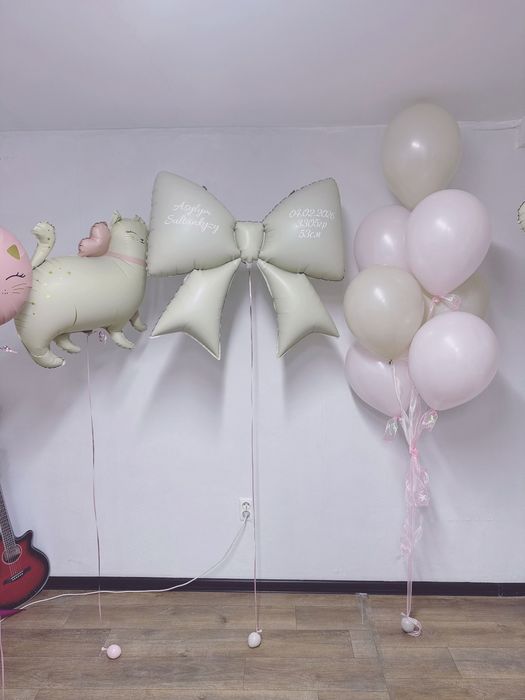 Шары для выписки