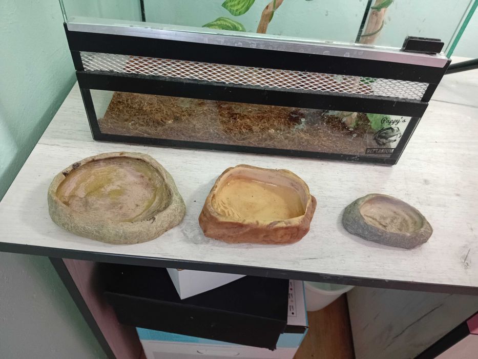 Терариум терароум терариум