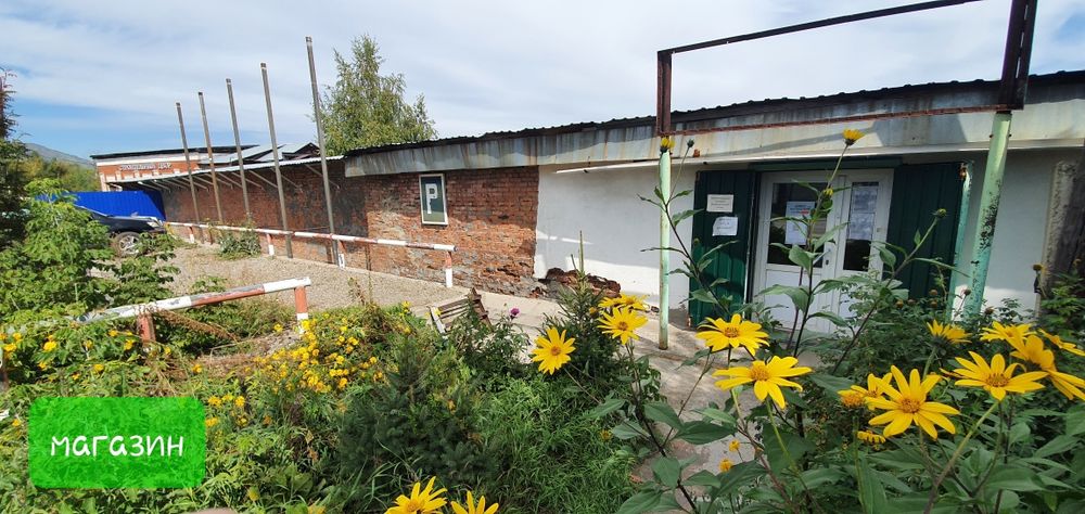 Продам действующий бизнес