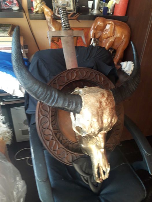 Антикварен уникат! Трофей за дома и офиса