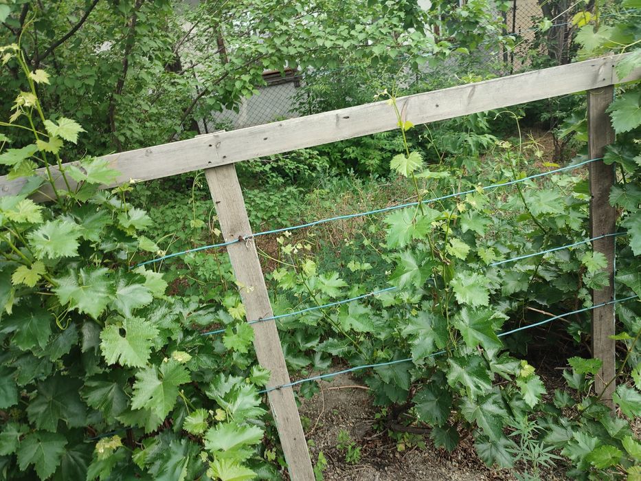 Срочно Продам дом