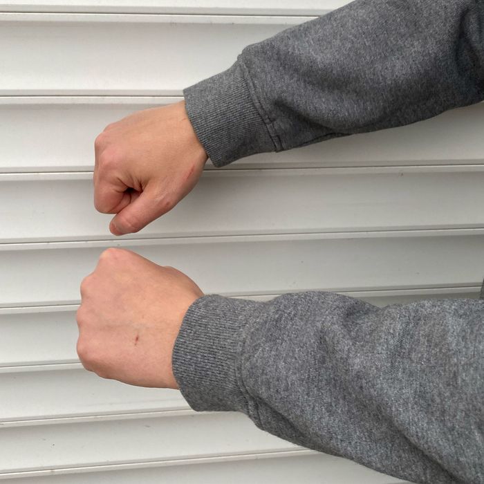 Sweatshirt Dickies ( Carhartt, Obey, Supreme, Vans, Nike, Y2K, Skate )