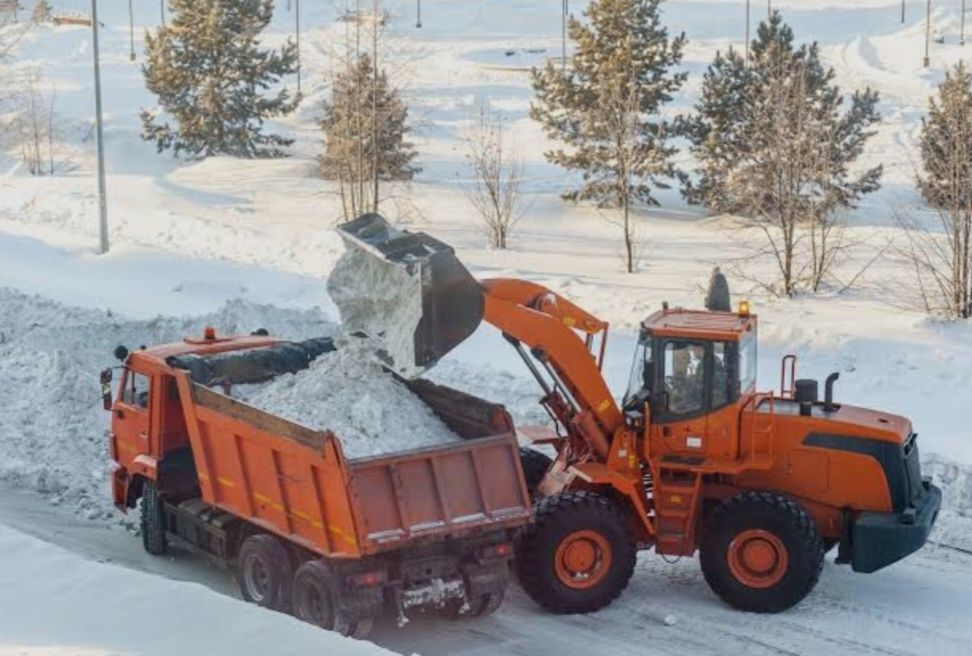 Услуги самосвалов