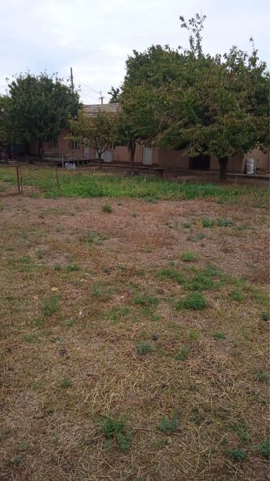 Кибрай Унгкургон Меданият  Дамарик 4- соток