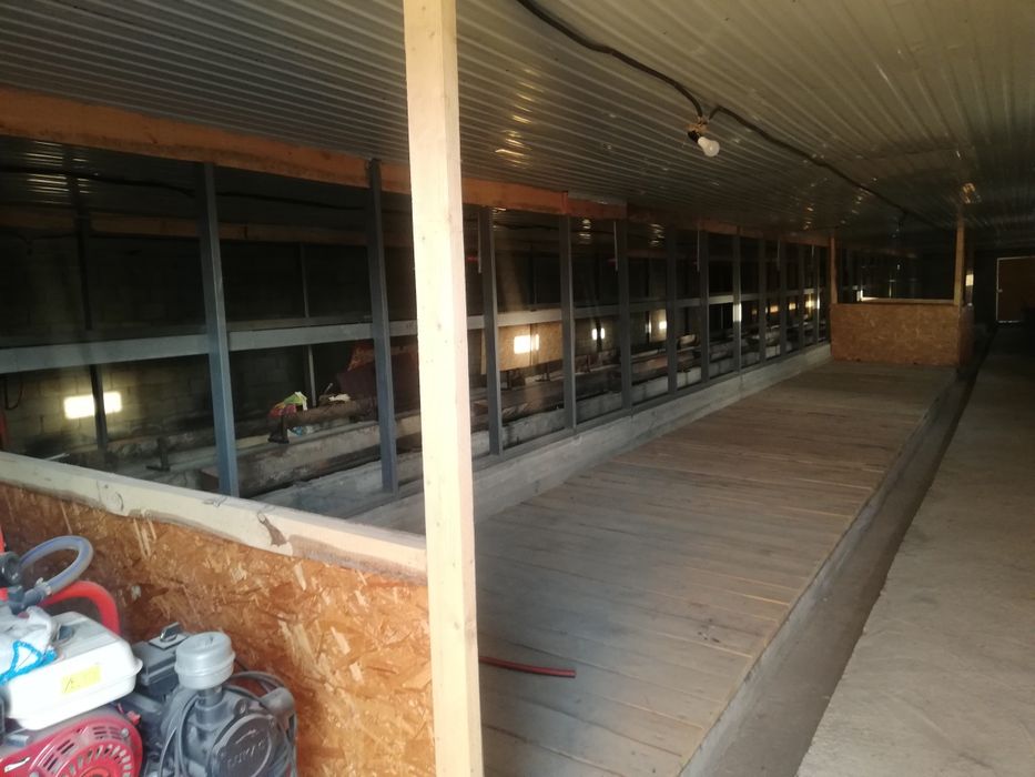 Фазенда для откорма на 60голов