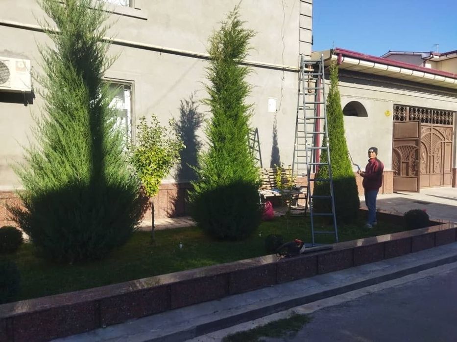Archa kesish va gazon ikkish