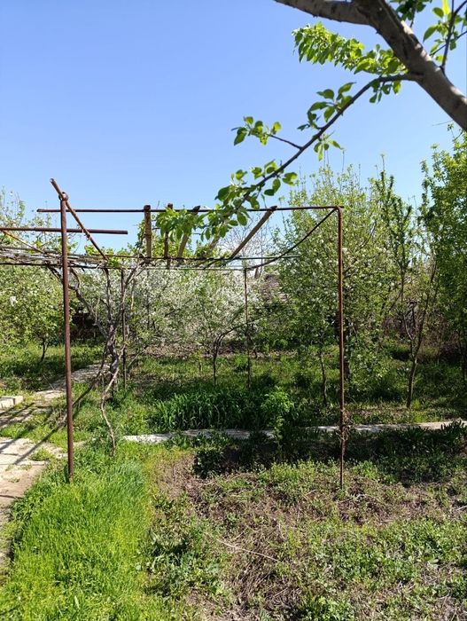 Навоий шахрмда ХОВЛИ.