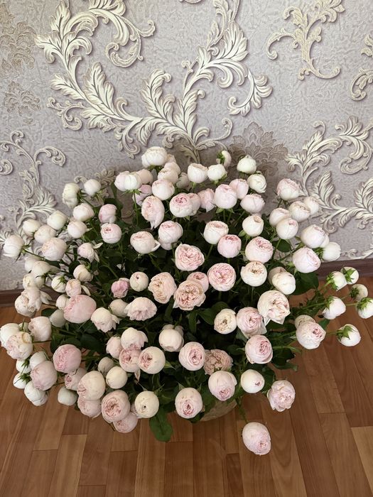 Продам красивую корзину пионов