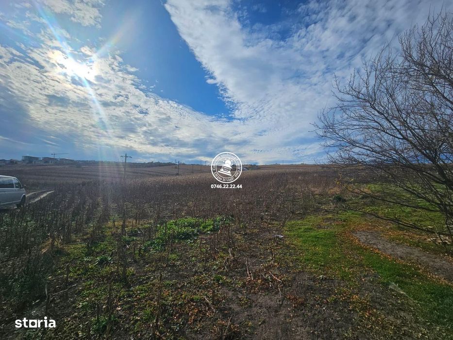 Teren de Vanzare Valea Lupului