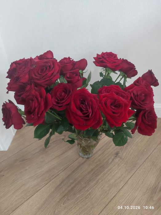 Продам цветы розы 30 шт