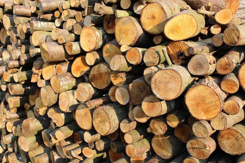 Продам дрова в мешках клен и сосна