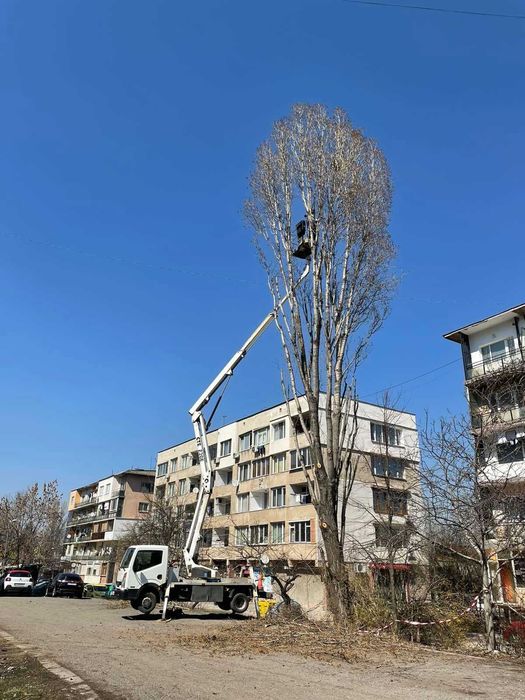 Автовишка под наем услуги с  вишки