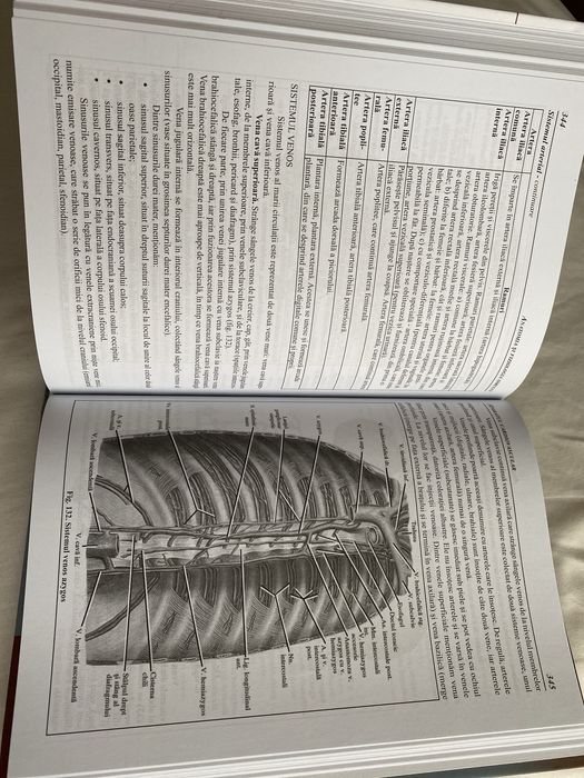 Compendiu- Anatomia si fiziologia omului