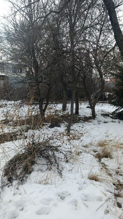 Продам срочно дачу