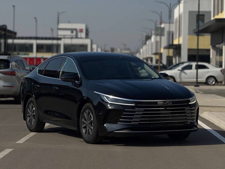 BYD Другая 2025