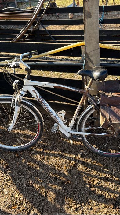 Vand biciclete noi